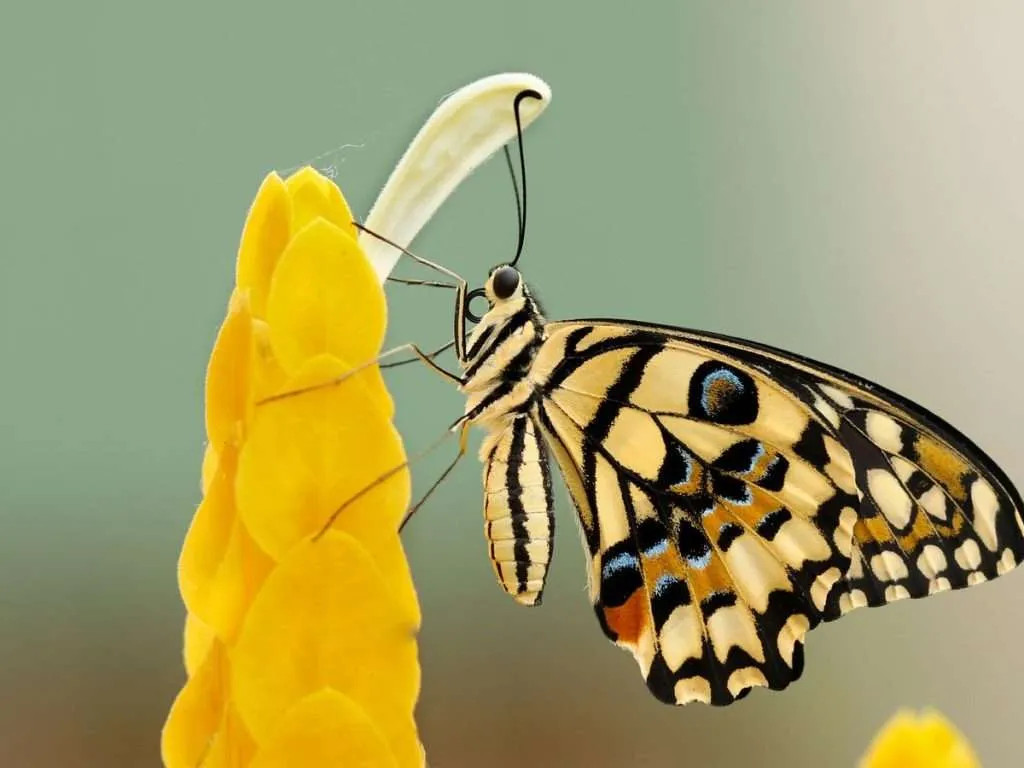 Embracing Change: The First Step To Transformation